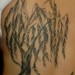 Tattoos - Brush Paint Willow Tree - 37993